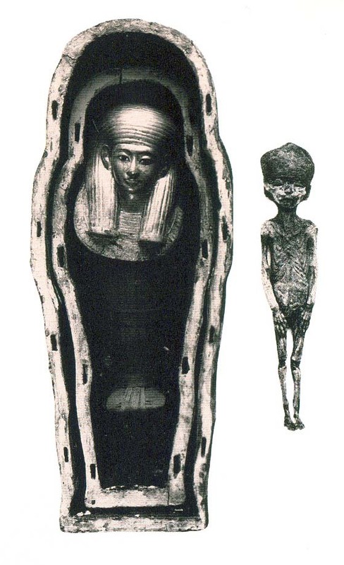 Su that chan dong 2 xac uop be gai hoan hao trong mo Pharaoh Tutankhamun-Hinh-9