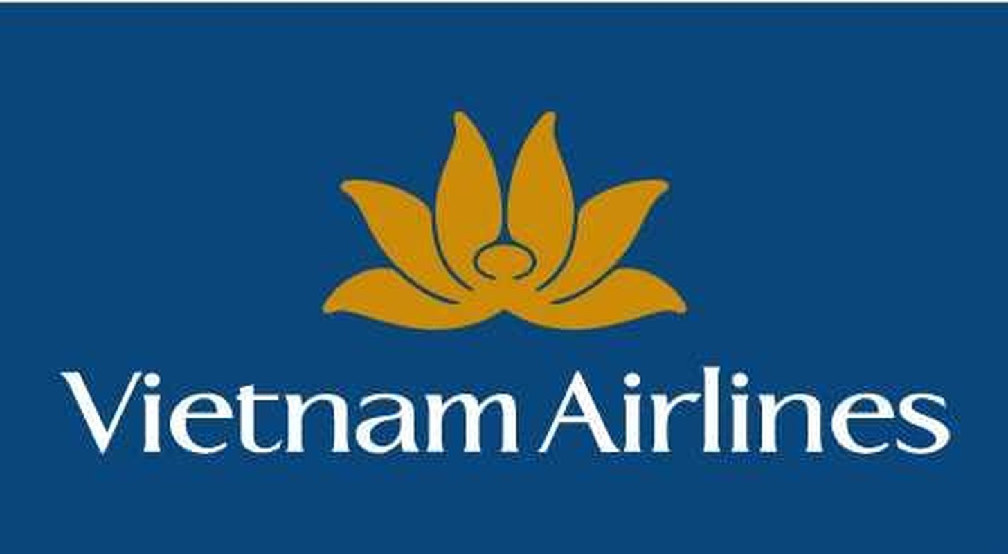 Logo hoa sen cua Vietnam Airlines thay doi nhu the nao-Hinh-5