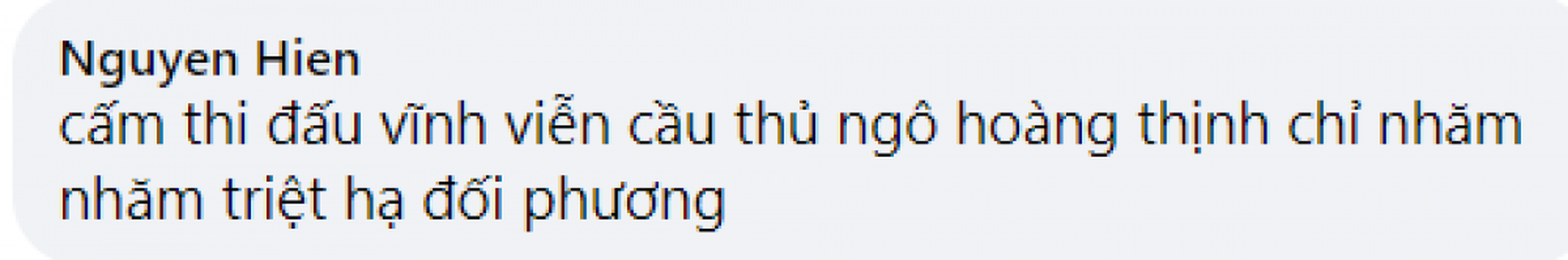 Do Hung Dung gay chan, netizen trut gian len Facebook Ngo Hoang Thinh-Hinh-6