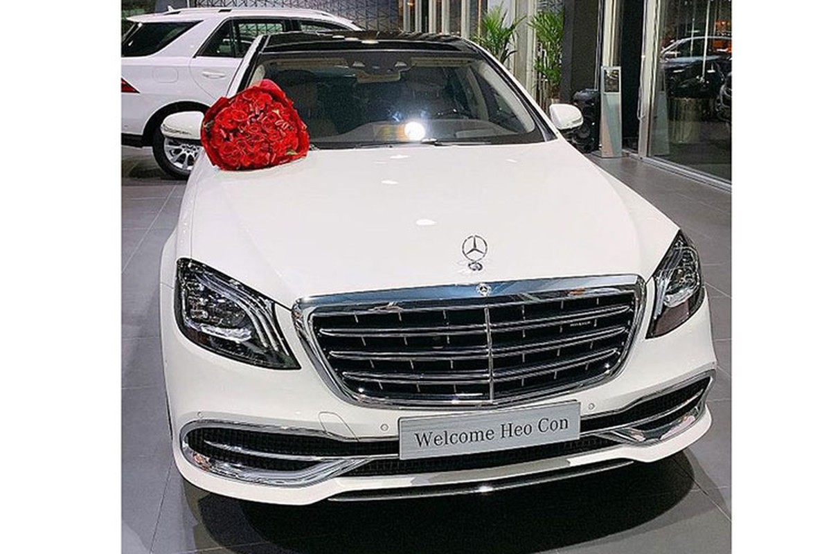 Diep Lam Anh tau Mercedes-Maybach S450 hon 7 ty dong-Hinh-2