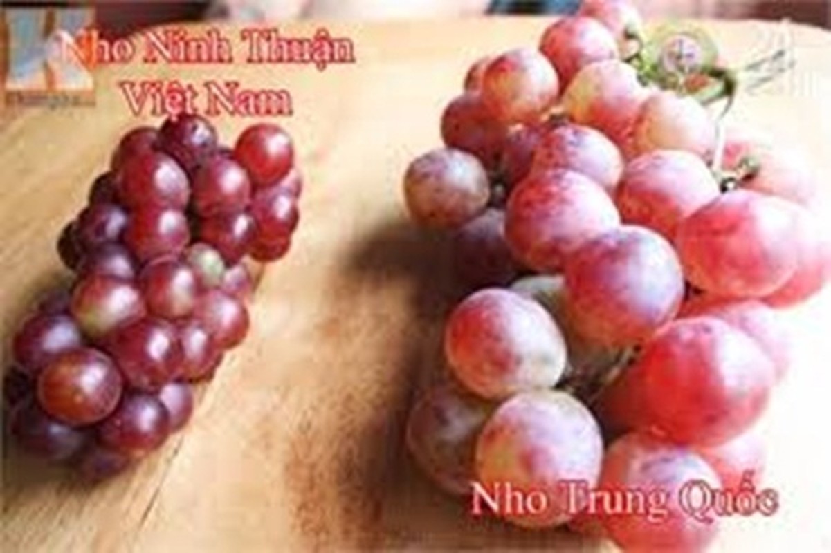 Nho Ninh Thuan vao mua gia chi 30k/kg, nhin 