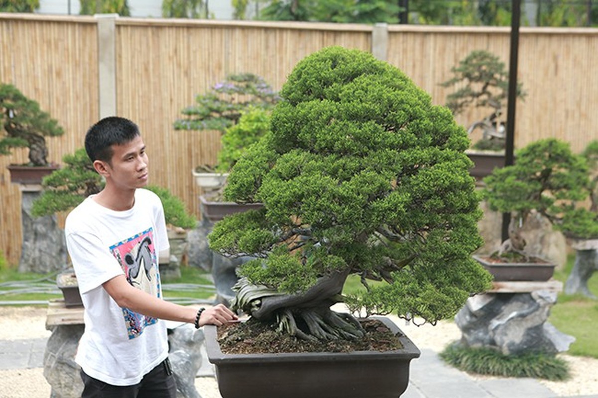 Muc so thi nhung khu vuon bonsai tien ty, dai gia quy hon vang-Hinh-9