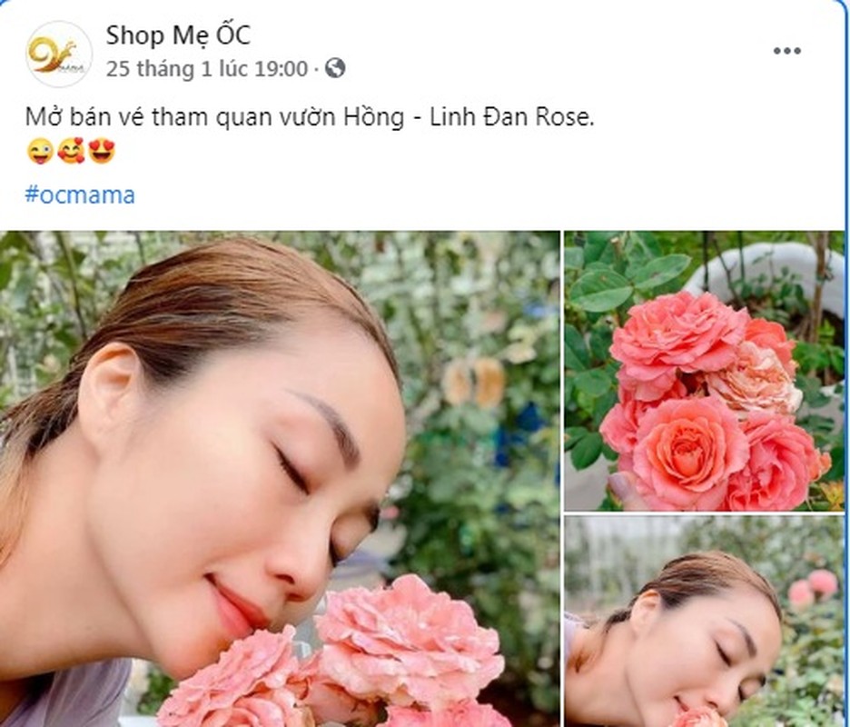 Ben trong biet thu ngap hoa hong cua MC Oc Thanh Van