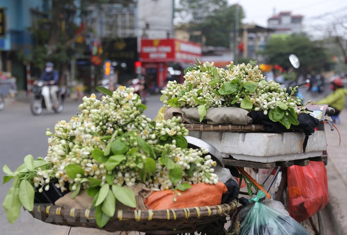 Le rung, dao nho va hoa buoi... hut khach ngay ram Thang Gieng-Hinh-8
