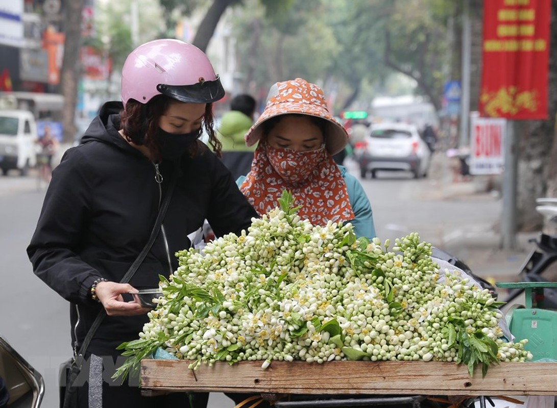 Le rung, dao nho va hoa buoi... hut khach ngay ram Thang Gieng-Hinh-9