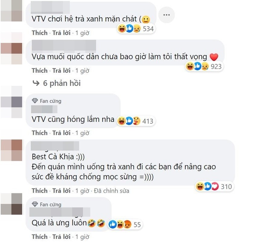 Bat trend “tra xanh”, VTV co dong thai “ca khia” cuc gat-Hinh-4