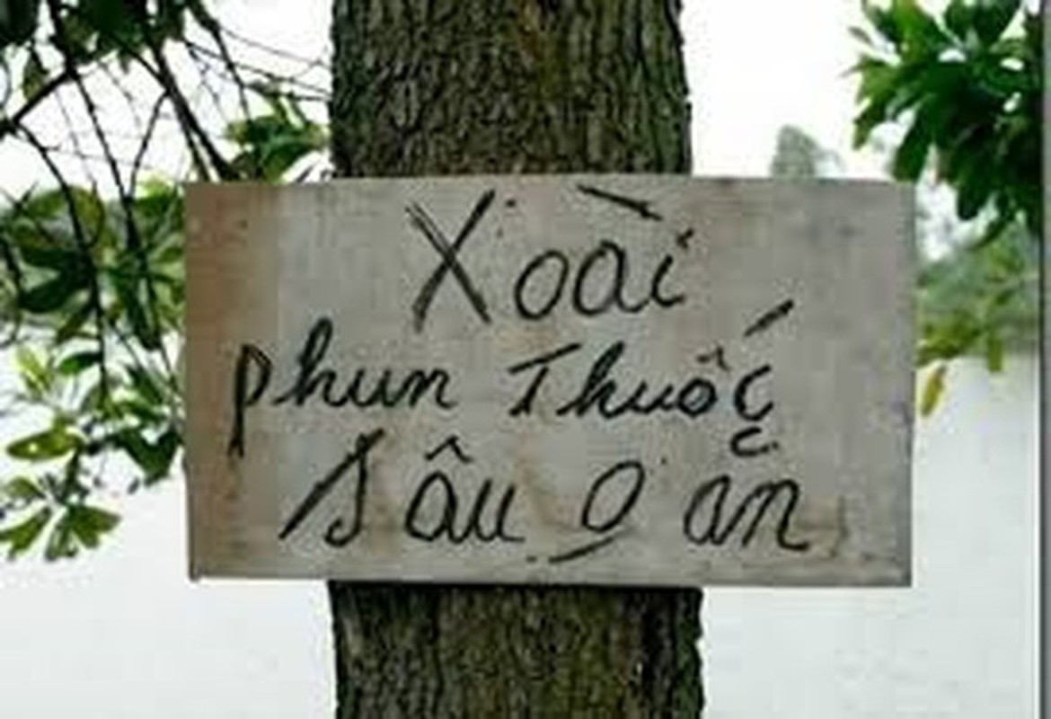Bo cong trong hanh tuoi tot, co gai phai “khoc rong” vi dieu nay-Hinh-10