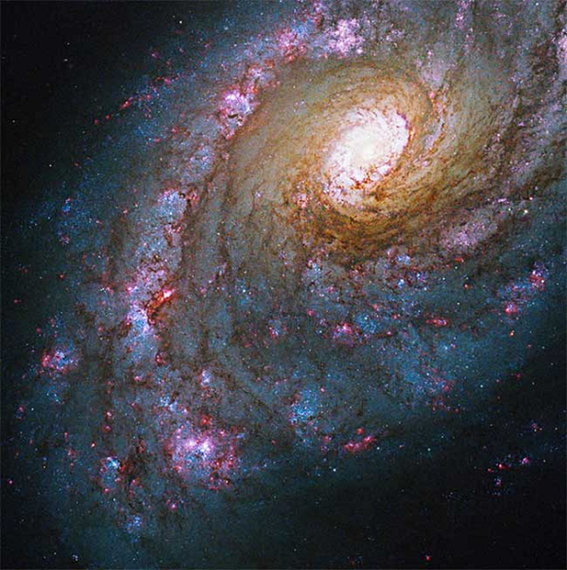 NASA cong bo nhung hinh anh quy gia chup boi kinh vien vong Hubble-Hinh-9