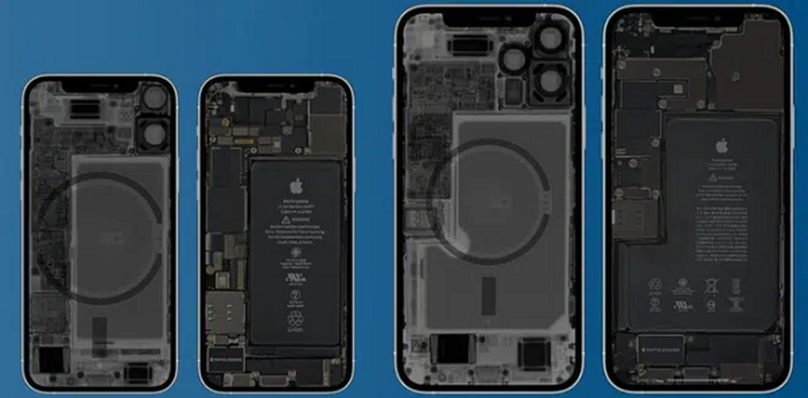 Apple huong dan nguoi mac benh tim dung iPhone 12 an toan-Hinh-9