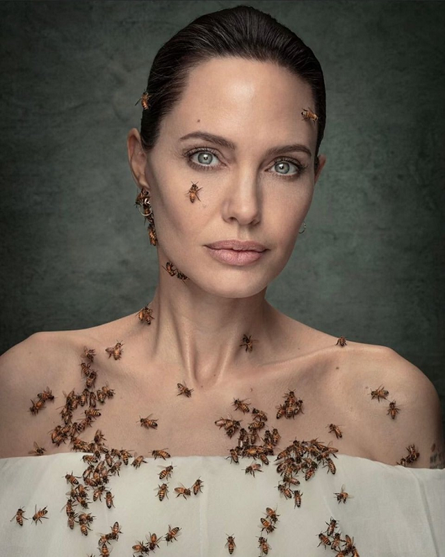 Loai ong nguy cap sao khien Angelina Jolie ba ngay khong tam de tuyen truyen-Hinh-3