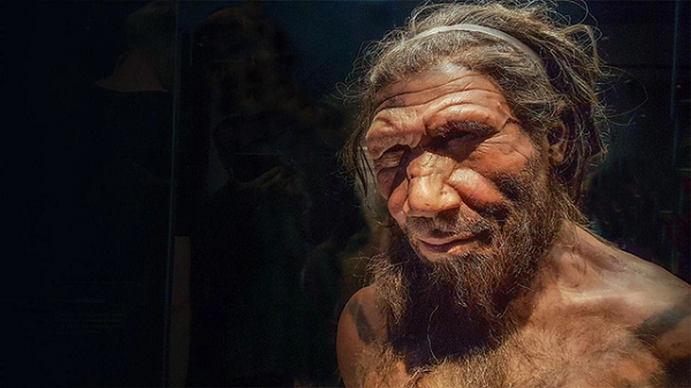 Bat ngo loai nguoi co Neanderthals: Moi 4 thang tuoi da la “sieu nhan”-Hinh-11