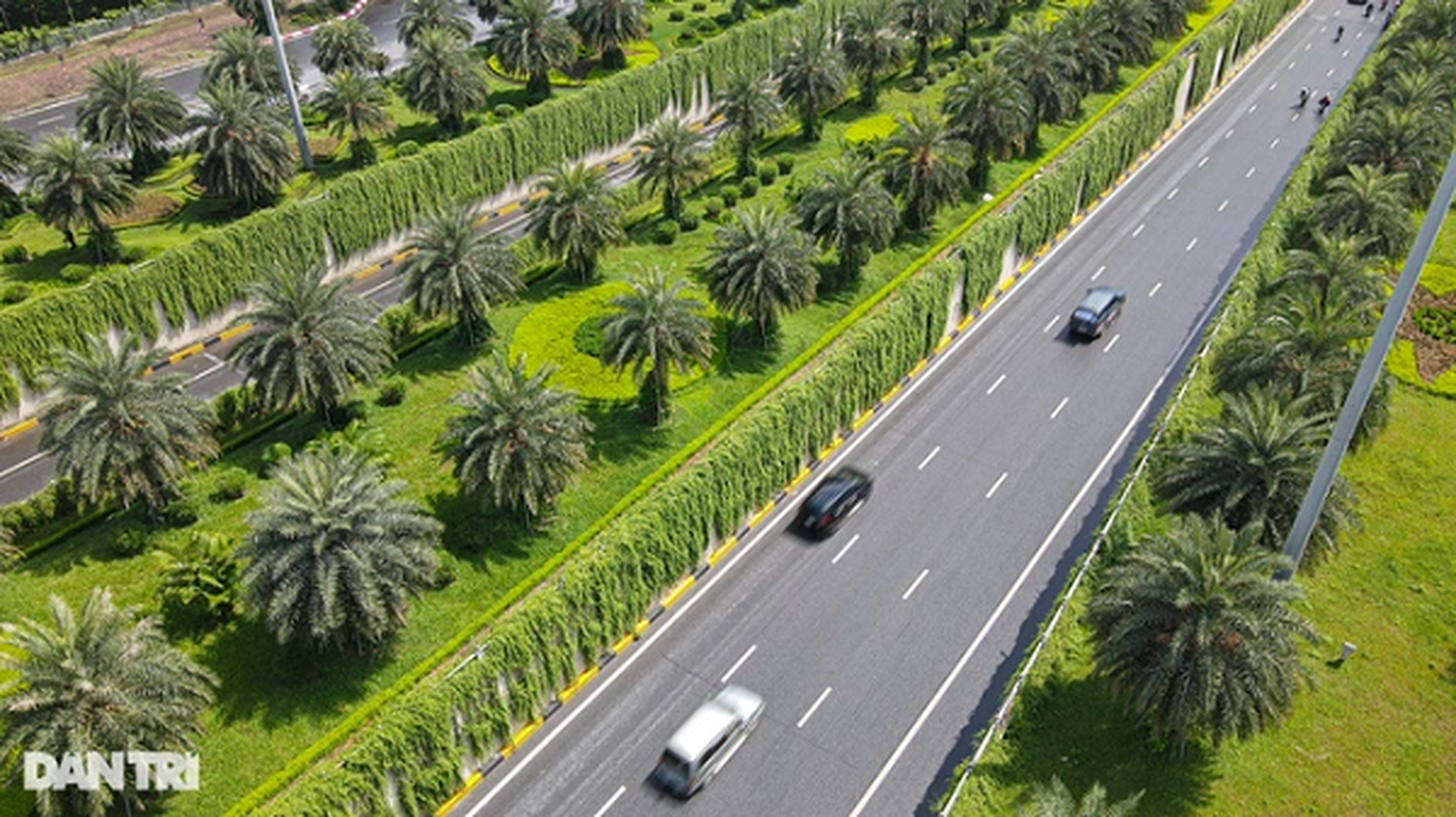 Con đường “bức tường xanh” đẹp như trên phim ở Hà Nội - Hình 11 Con duong “buc tuong xanh” dep nhu tren phim o Ha Noi-Hinh-11