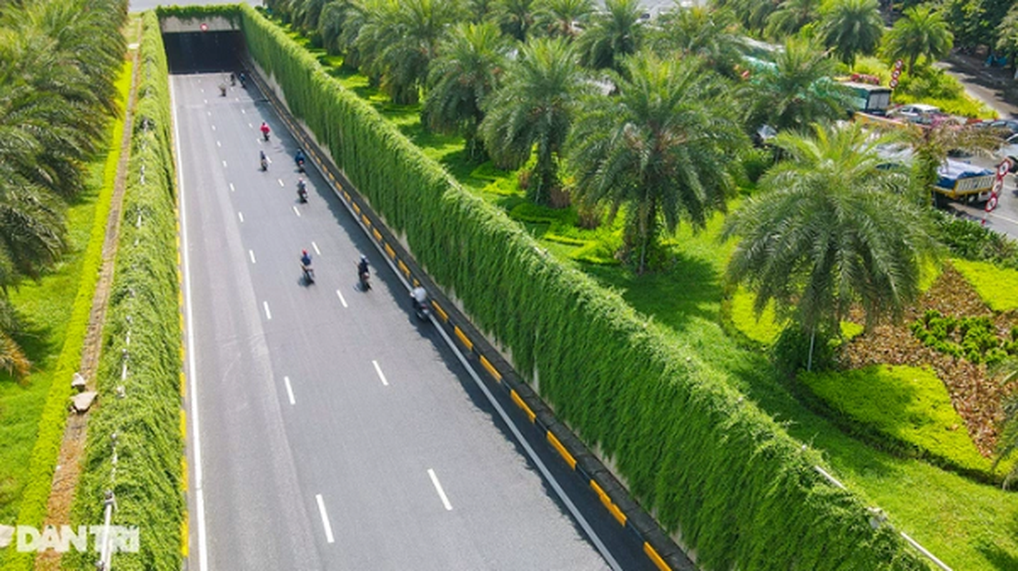 Con đường “bức tường xanh” đẹp như trên phim ở Hà Nội - Hình 7 Con duong “buc tuong xanh” dep nhu tren phim o Ha Noi-Hinh-7