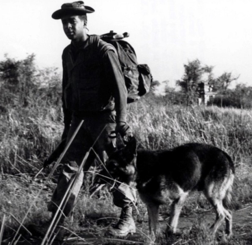 Ly giai viec cho quan su cua My chet nhu nga ra o Viet Nam-Hinh-9