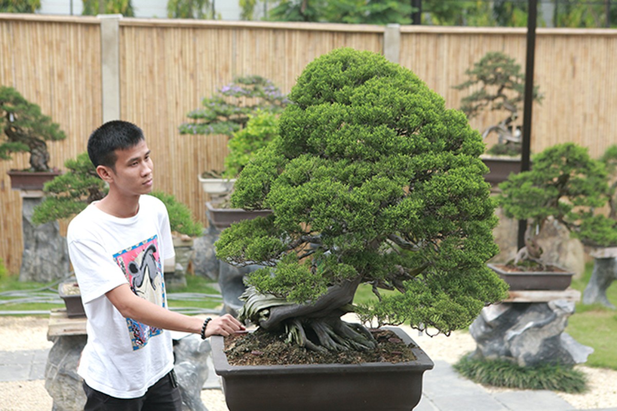 Hoa mat vuon bonsai Nhat tien ty giua dat Bac Giang