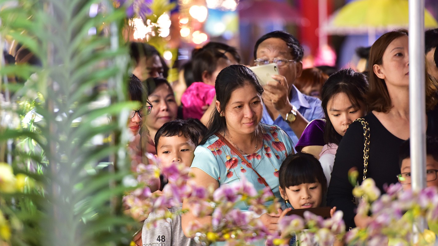 Du khach trang dem tham quan duong hoa Nguyen Hue trong dem khai mac-Hinh-6