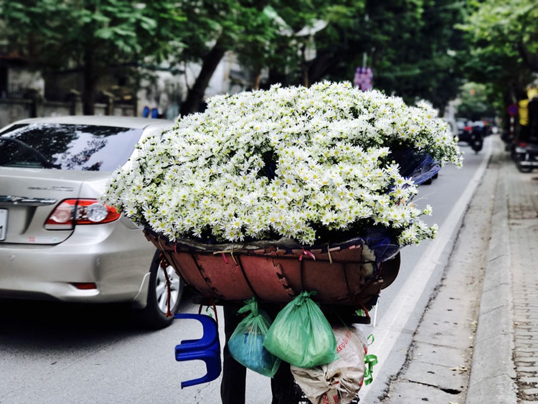 Mua cuc hoa mi: Chi em phat cuong, dan Nhat Tan mung tham-Hinh-11
