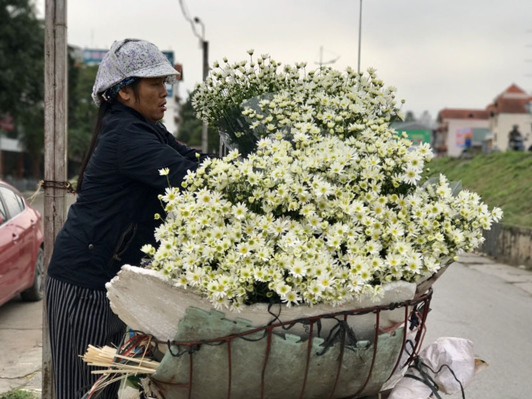 Mua cuc hoa mi: Chi em phat cuong, dan Nhat Tan mung tham-Hinh-9