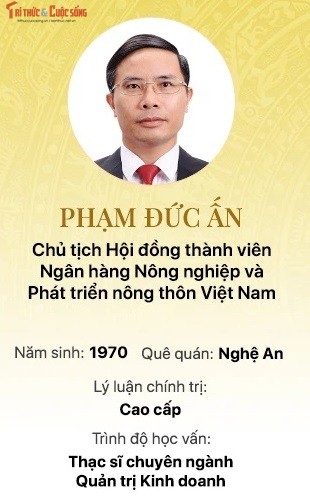 Chan dung 15 doanh nhan trung cu Dai bieu Quoc hoi khoa 15-Hinh-2