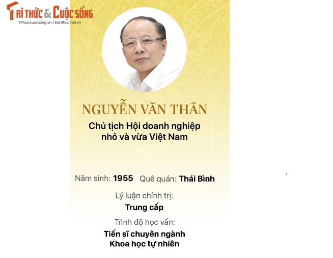 Chan dung 15 doanh nhan trung cu Dai bieu Quoc hoi khoa 15-Hinh-6