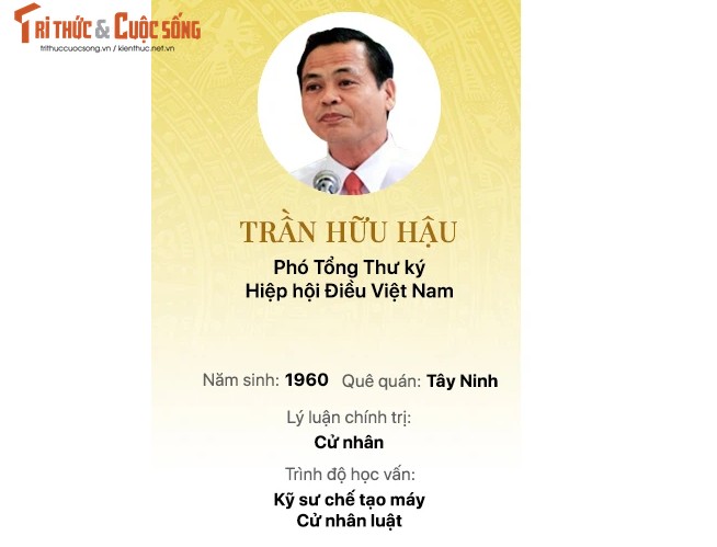 Chan dung 15 doanh nhan trung cu Dai bieu Quoc hoi khoa 15-Hinh-8